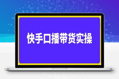 快手口播带货2980 数字人-云创库