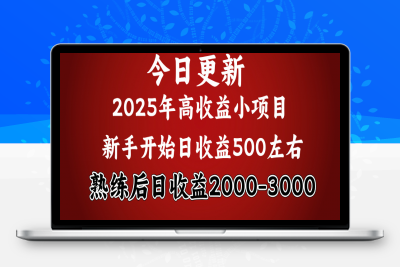 2025开年好项目，新手日收益500  熟练掌握后，日收益平均2000多-云创库